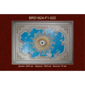 Потолочный цветной купол BRD1824-F1-022